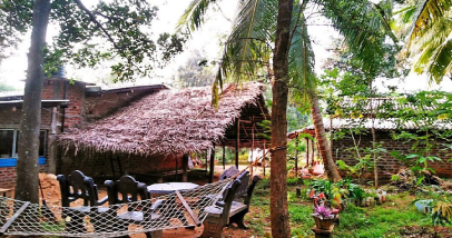 Traditional bullock cart ride in a Sri Lankan village