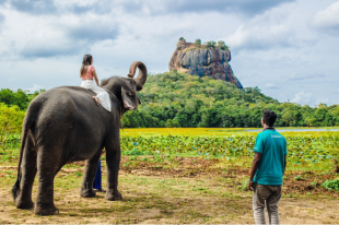 Tourist riding an elephant in Sri Lanka countryside
