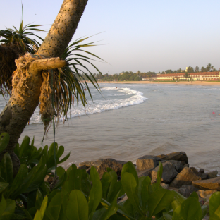 Aerial view of Bentota beach and coastline, Sri Lanka
