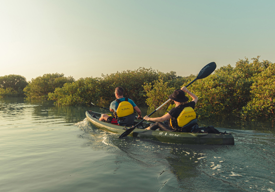 Purple Island Qatar kayaking