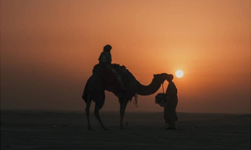 Afternoon Desert Safari Qatar