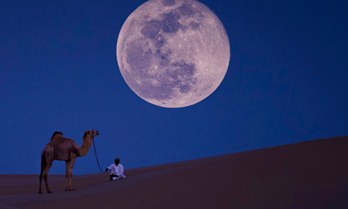 Overnight Desert Safari Qatar